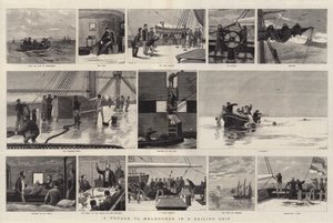 Een reis naar Melbourne in een zeilschip